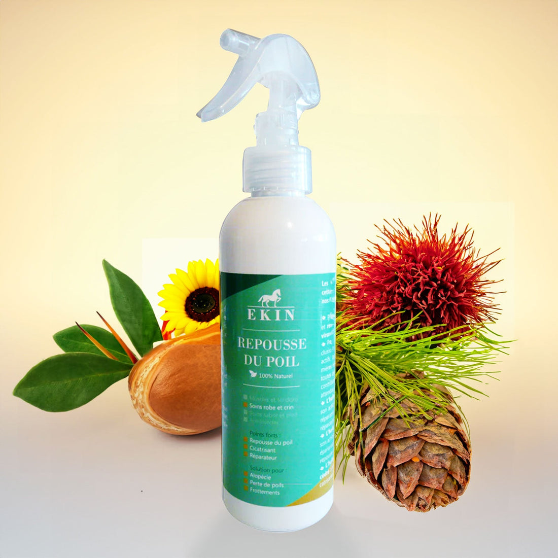 Repousse poil cheval : comment aider la peau à retrouver une robe uniforme