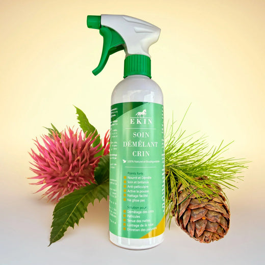 Soin pelage et lavage cheval