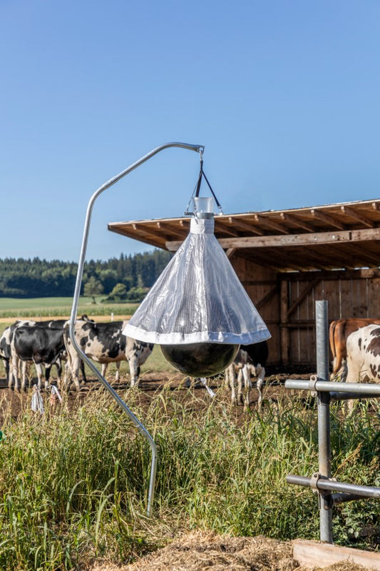 Piège à taons sur un hectare (10 000 m²) jusqu'à 300 insectes capturés par jour