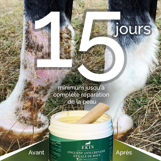 Ekin réparateur gale de boue cheval (Anti-Crevasse)