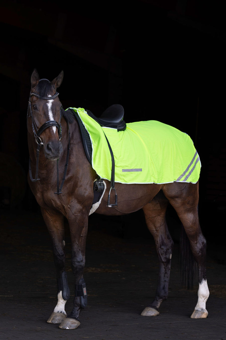 Pack « Visible » réfléchissant cheval et cavalier