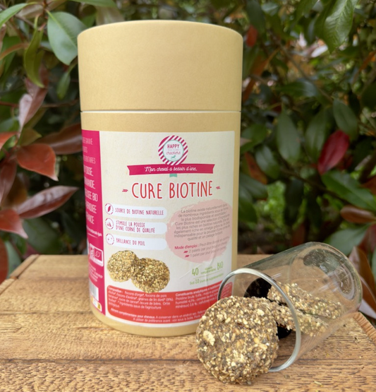 Cure de Biotine Bio pour sabots plus durs et pelage soyeux