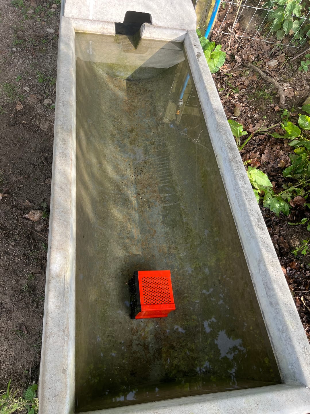 Cube robuste purificateur pour abreuvoir de cheval