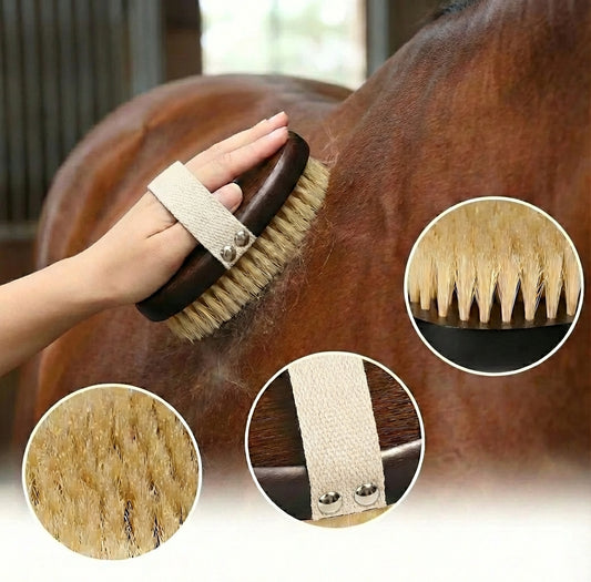 Brosse de pansage à poils naturels Monture bois