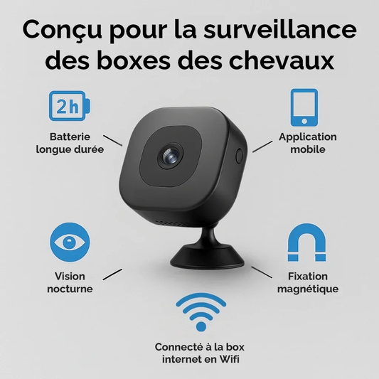 EquiCheck Box la caméra iA de surveillance en temps réel pour chevaux