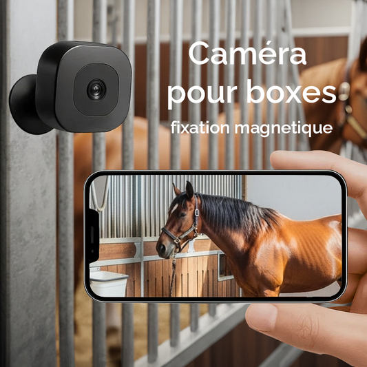 EquiCheck Box la caméra iA de surveillance en temps réel pour chevaux