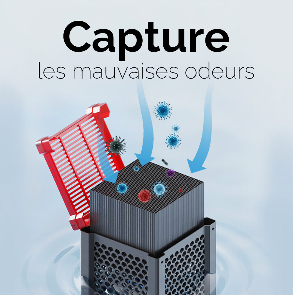 Cube robuste purificateur pour abreuvoir de cheval