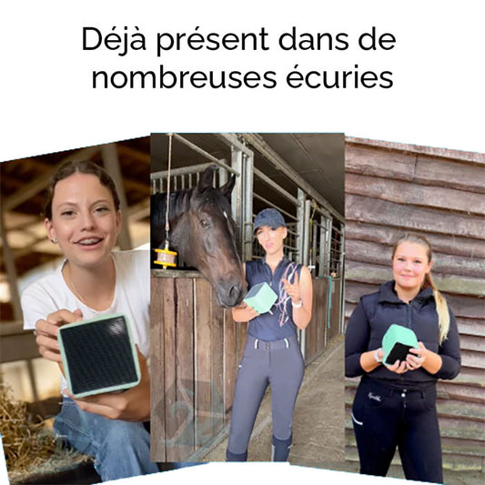 Cube protecteur d'abreuvoirs pour chevaux