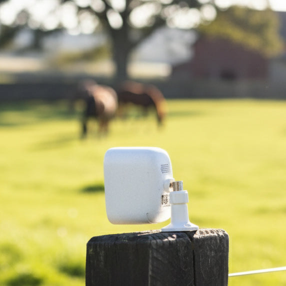EquiCheck Camera 4G-SIM de Surveillance Autonome pour Chevaux, Ecurie et Extérieur