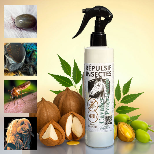 Répulsif insectes Spray 48h sans mouches double barrière