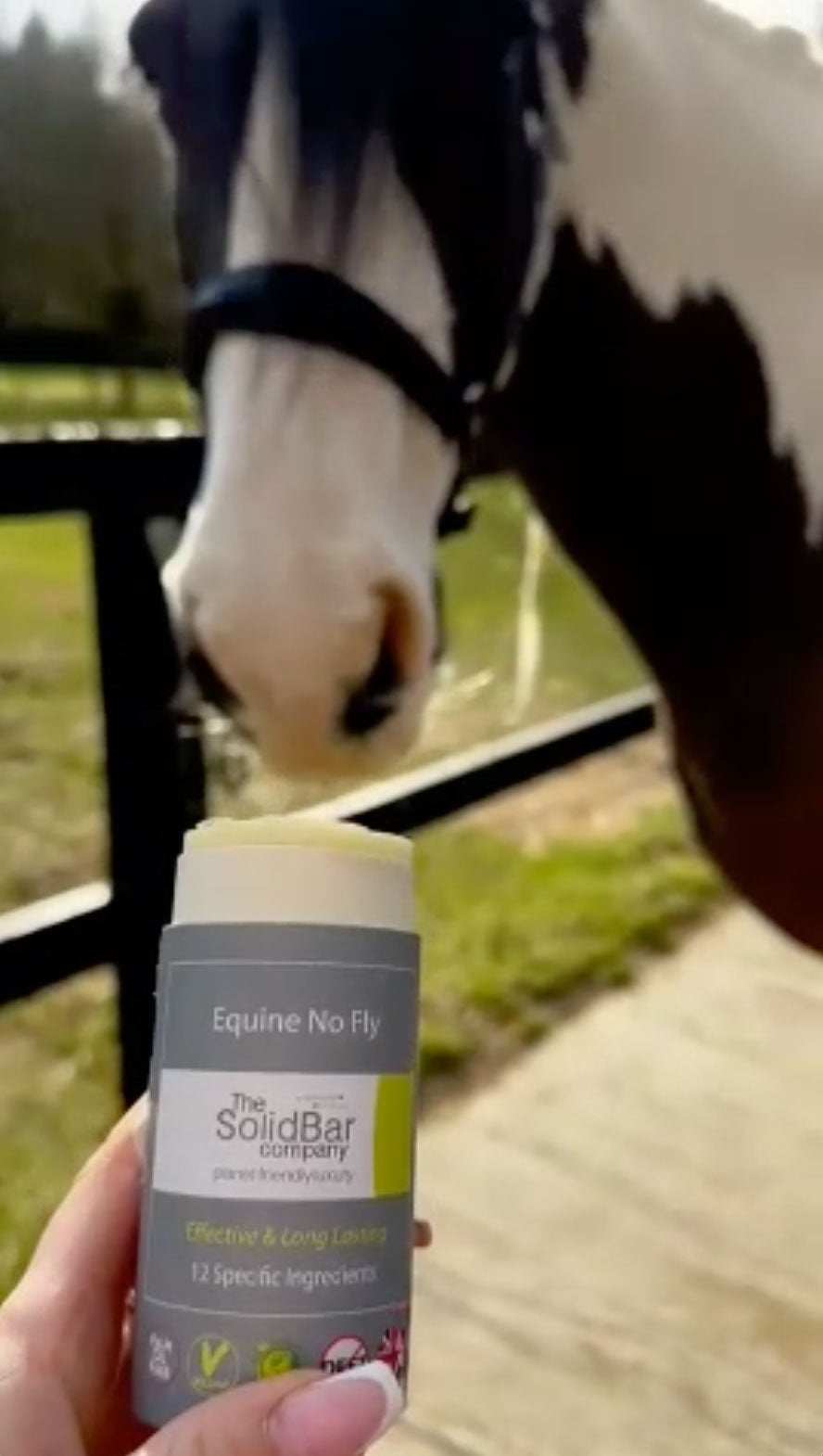 Stick Large Anti-Mouches Facile pour Cheval