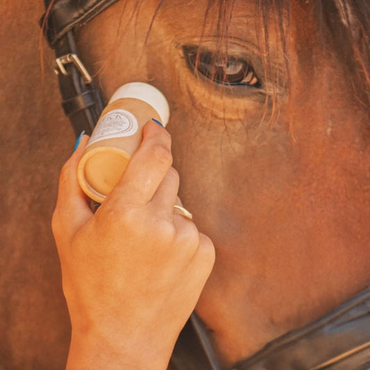Stick Anti-Mouches Facile pour Cheval