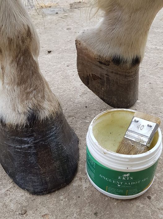 Ekin onguent sabot sec pour chevaux d'équitation