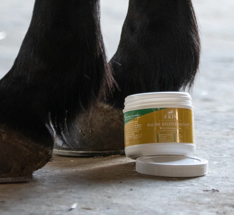 Baume Décontractant Muscles et Tendons pour Cheval