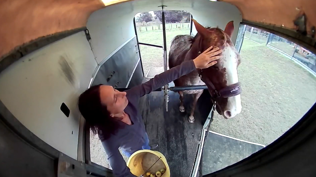 Installation caméra van aimantée : La camera transport chevaux sans fil qui fonctionne partout