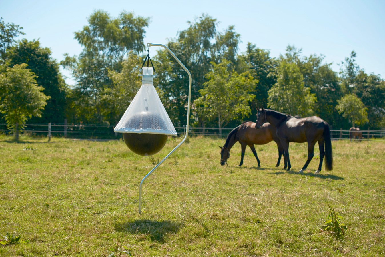 Piège à taons sur un hectare (10 000 m²) jusqu'à 300 insectes capturés par jour