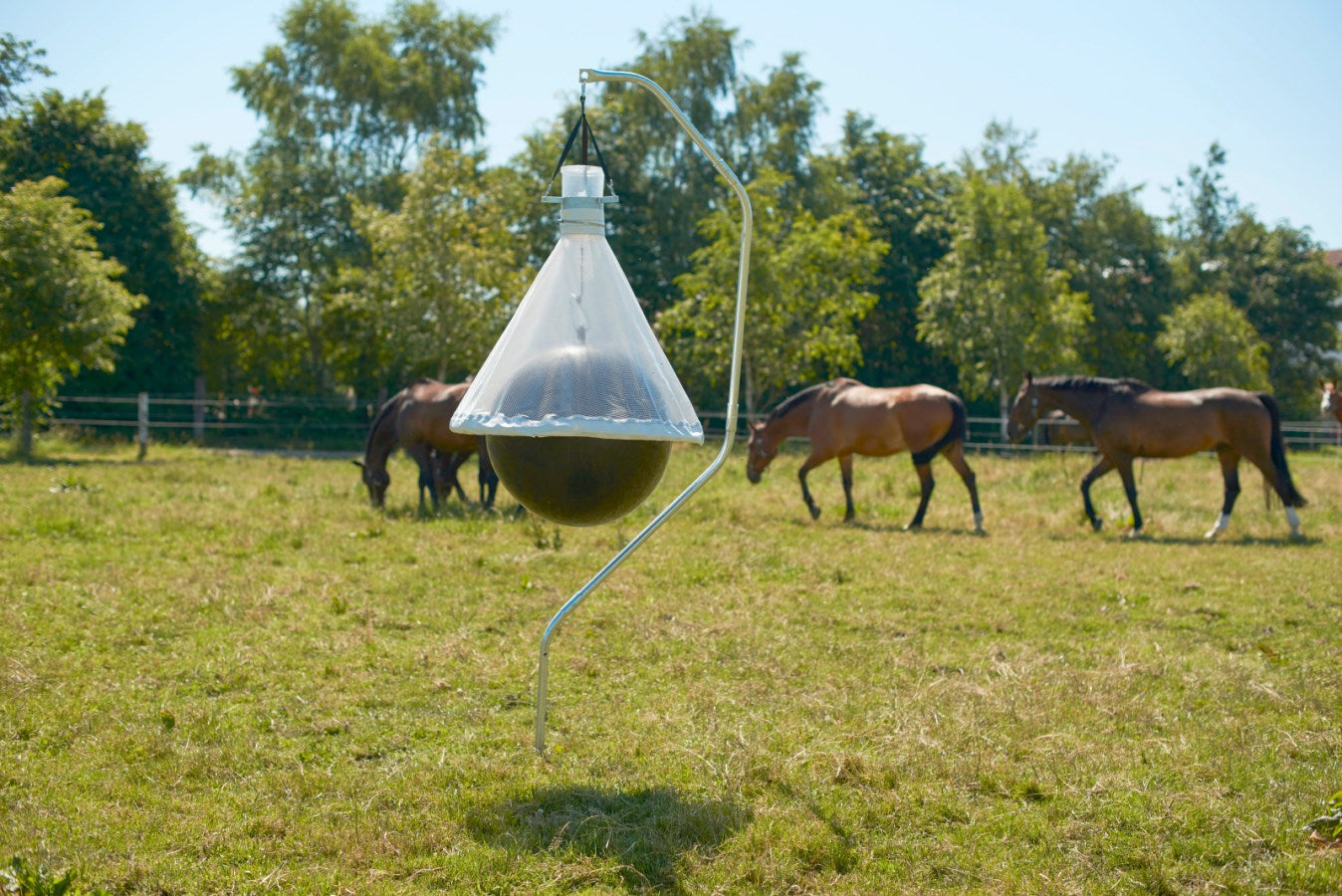 Piège à taons sur un hectare (10 000 m²) jusqu'à 300 insectes capturés par jour