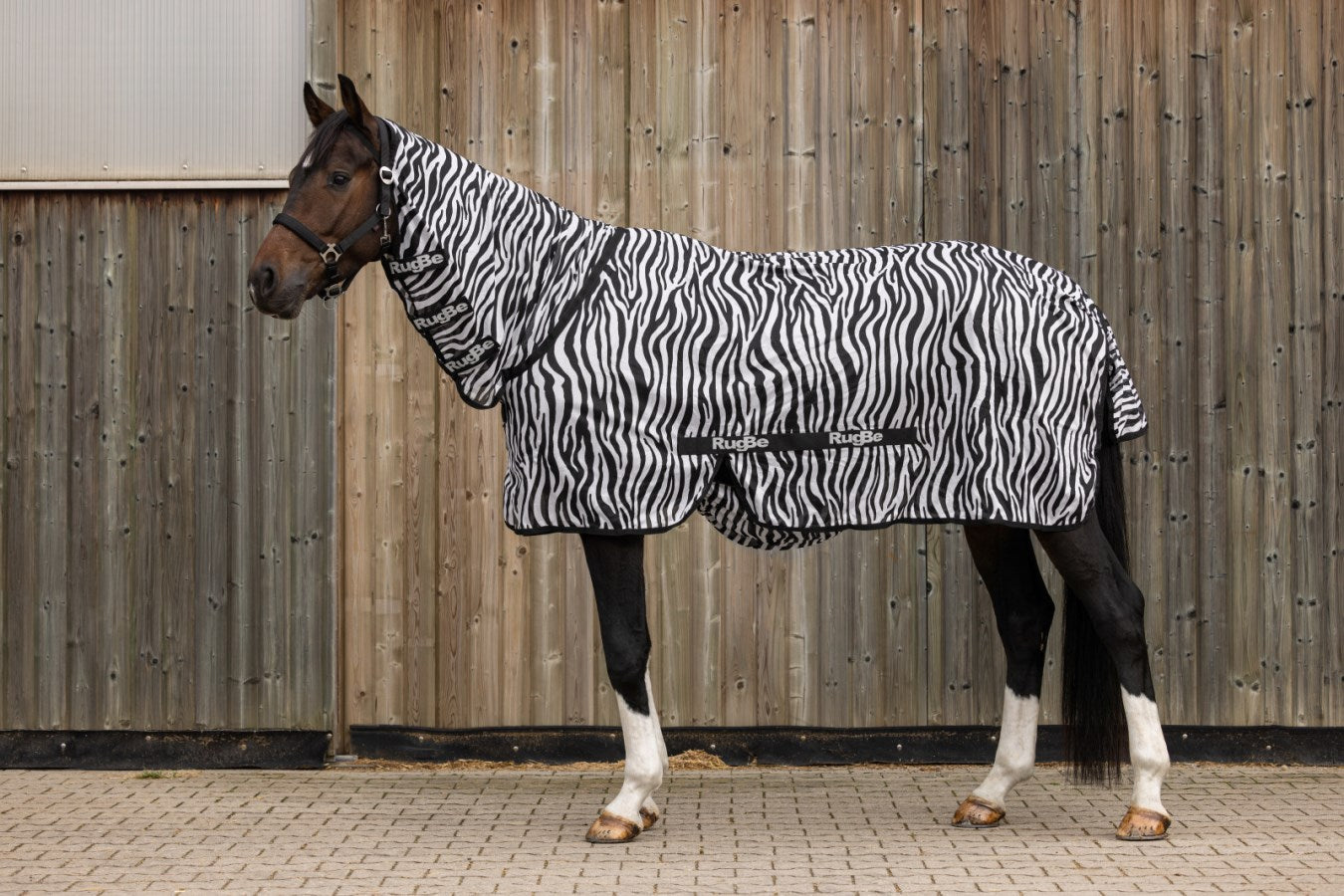 Couverture Zebre protection intégrale anti mouches et taons pour dos 125 cm