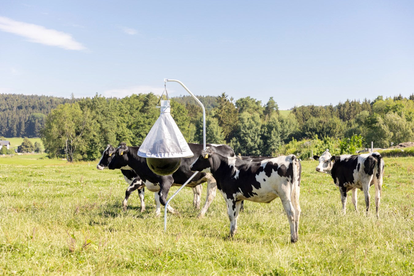 Piège à taons sur un hectare (10 000 m²) jusqu'à 300 insectes capturés par jour