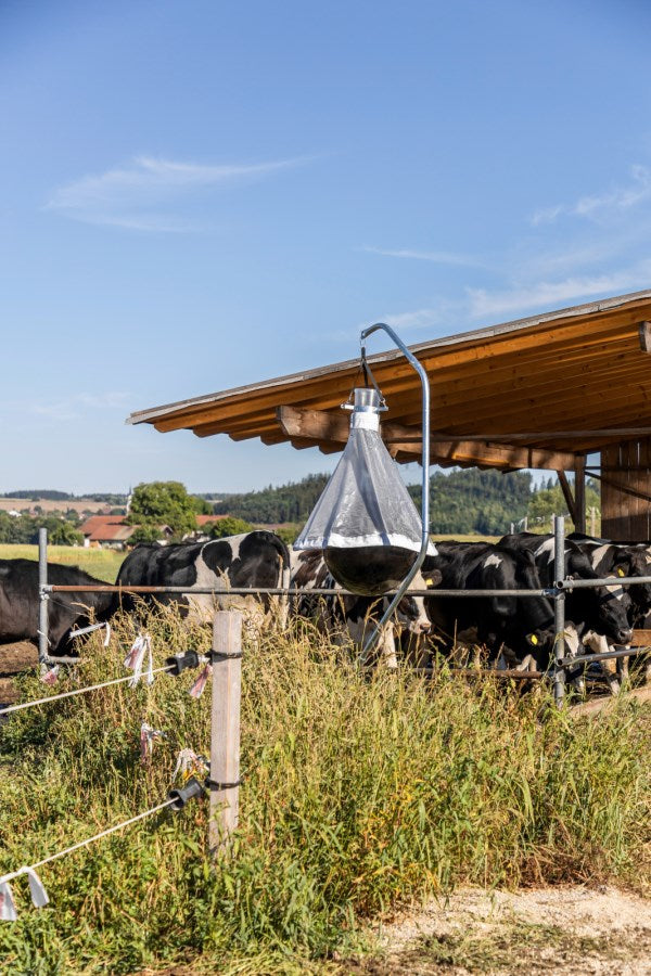 Piège à taons sur un hectare (10 000 m²) jusqu'à 300 insectes capturés par jour