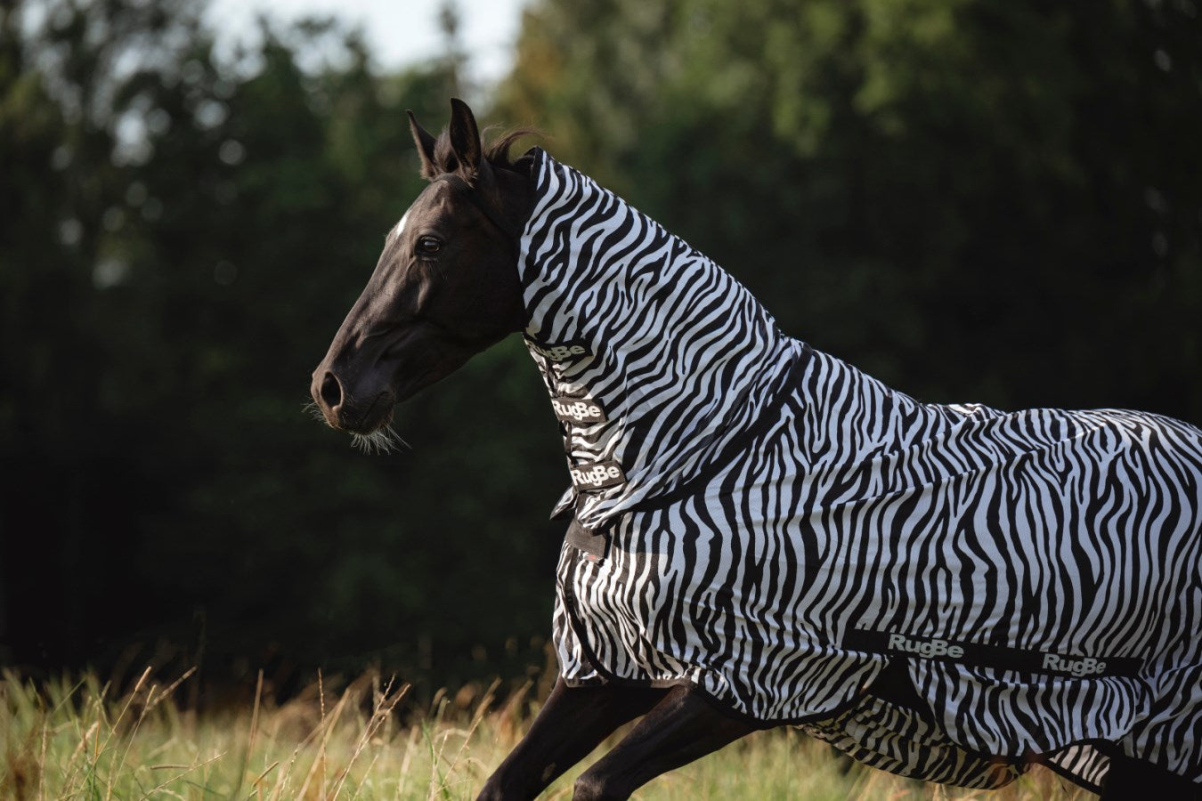 Couverture Zebre protection intégrale anti mouches et taons pour dos 125 cm
