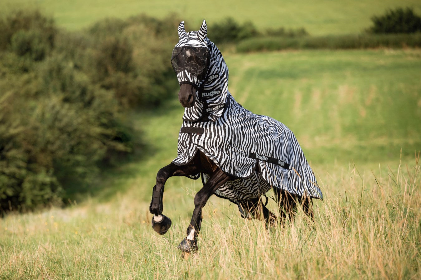 Masque Zebre Taille Cob