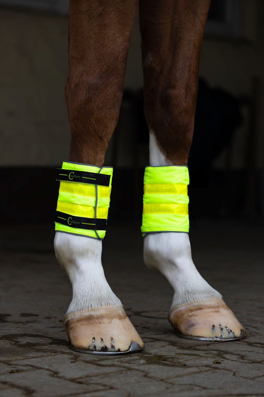 Pack « Visible » réfléchissant cheval et cavalier