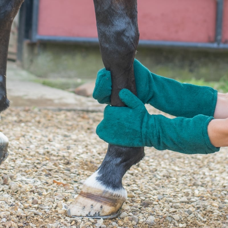 Gants de séchage ultra-doux pour cheval en microfibre ultra-absorbant