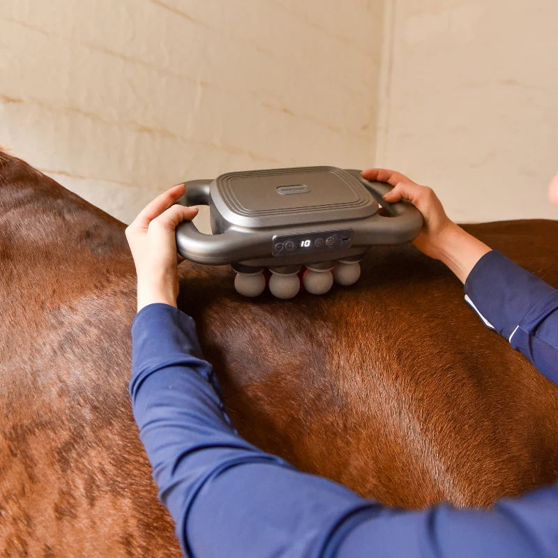 Masseur Equin à 8 têtes anti-contracture pour chevaux