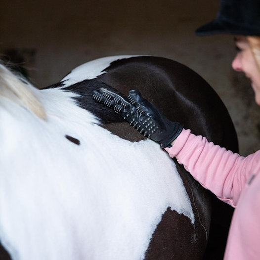 Le Kit Été Tranquille PROTECTION TOTALE ANTI-MOUCHES