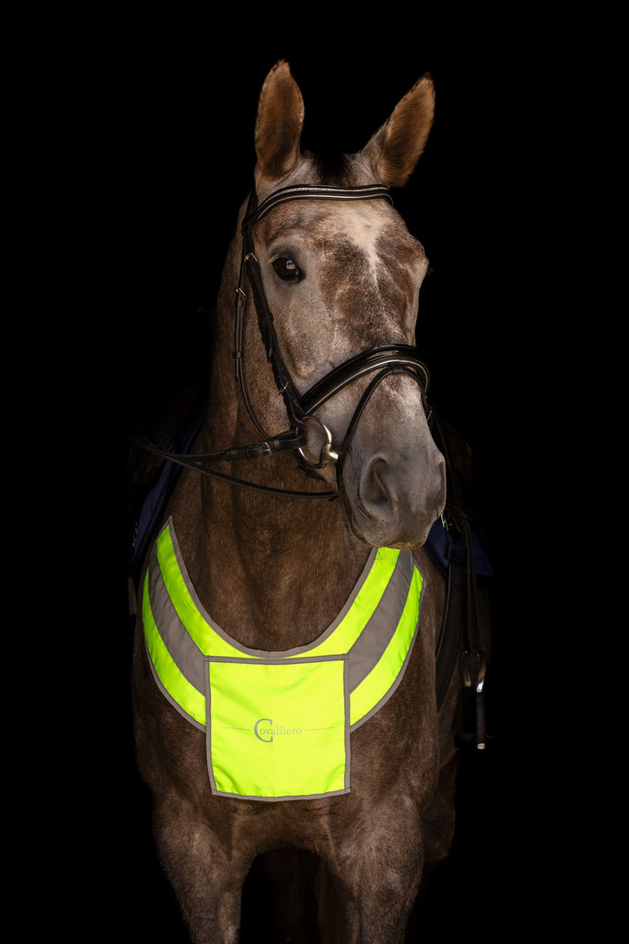 Pack « Visible » réfléchissant cheval et cavalier