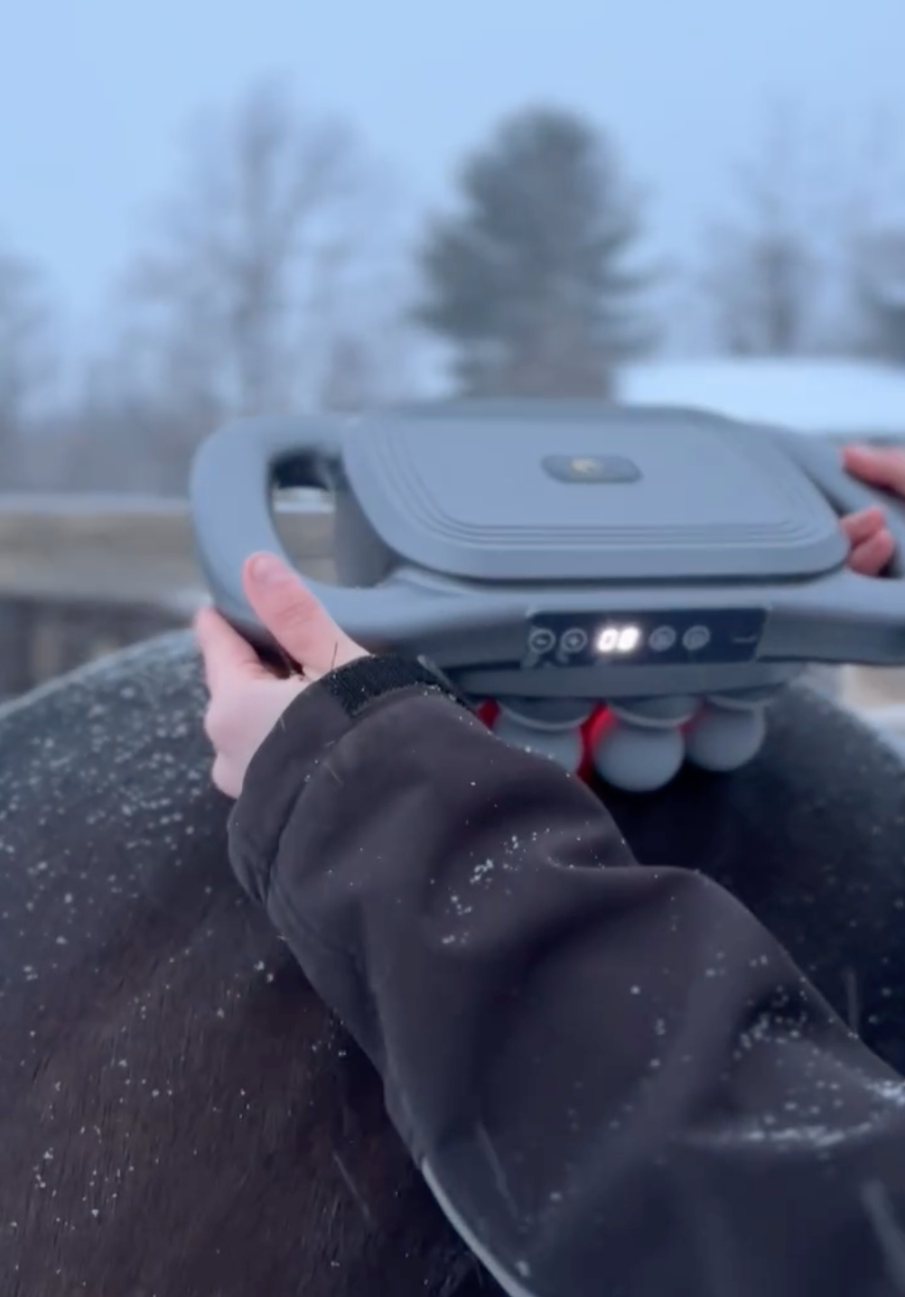 Masseur Equin à 8 têtes anti-contracture pour chevaux