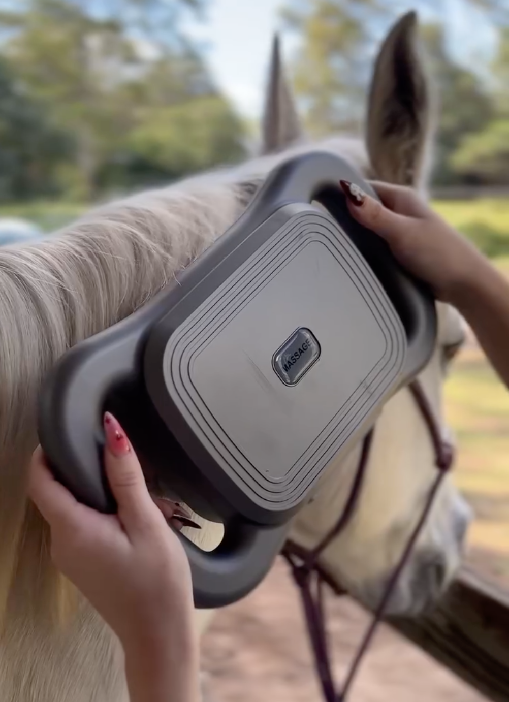 Masseur Equin à 8 têtes anti-contracture pour chevaux