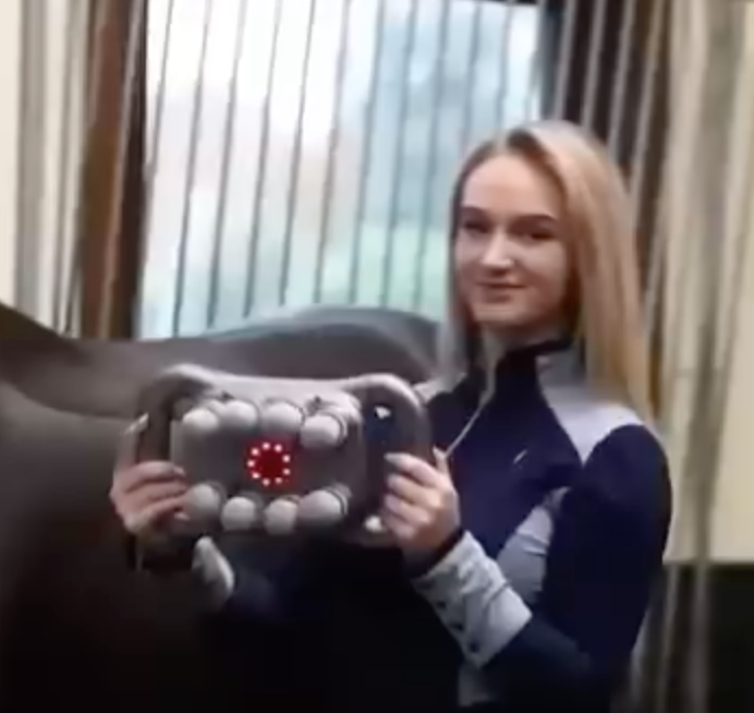 Masseur Equin à 8 têtes anti-contracture pour chevaux