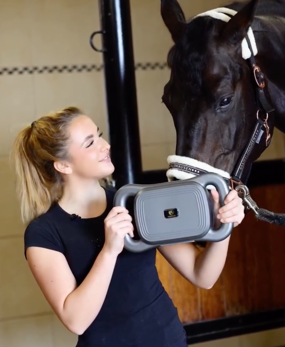 Masseur Equin à 8 têtes anti-contracture pour chevaux