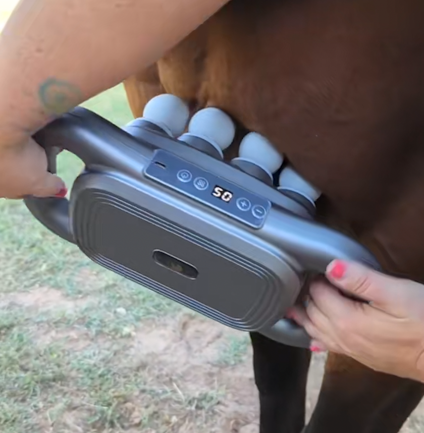 Masseur Equin à 8 têtes anti-contracture pour chevaux