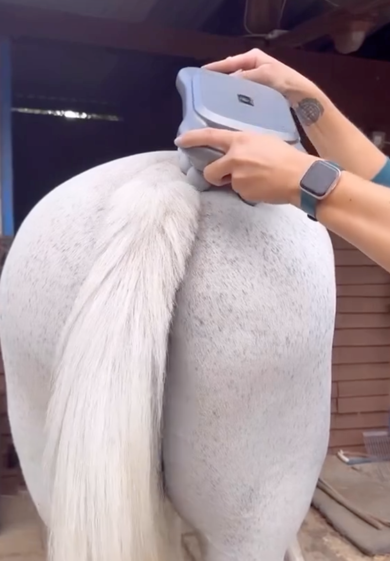 Masseur Equin à 8 têtes anti-contracture pour chevaux