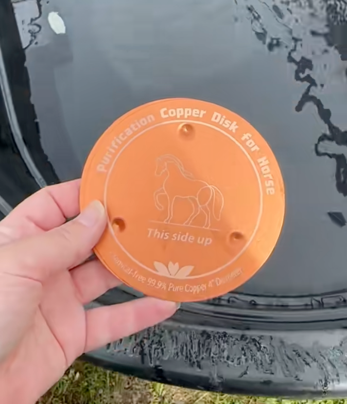 Disque de Cuivre Abreuvoir anti-algues