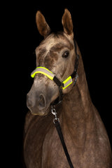 Pack « Visible » réfléchissant cheval et cavalier