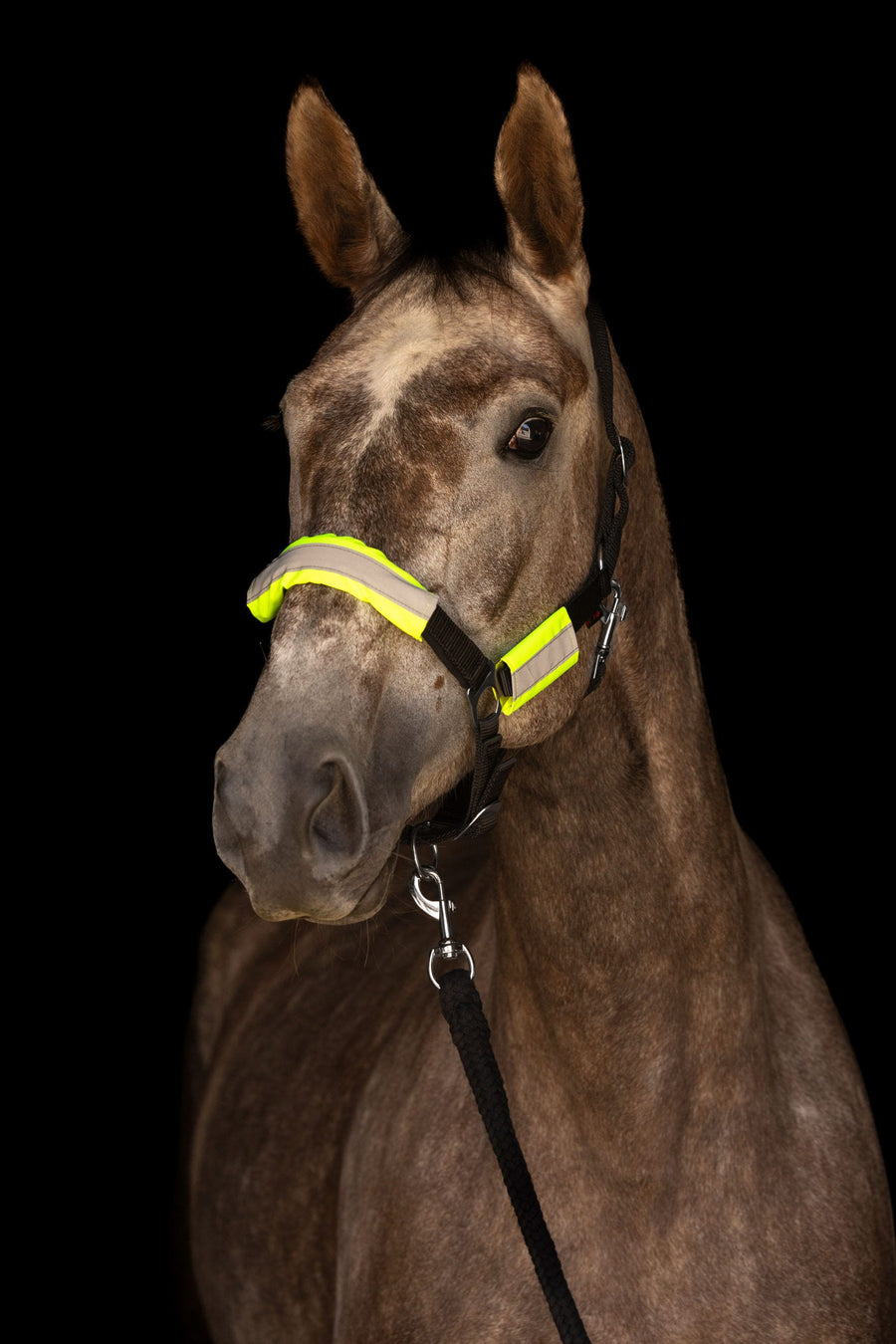 Pack « Visible » réfléchissant cheval et cavalier