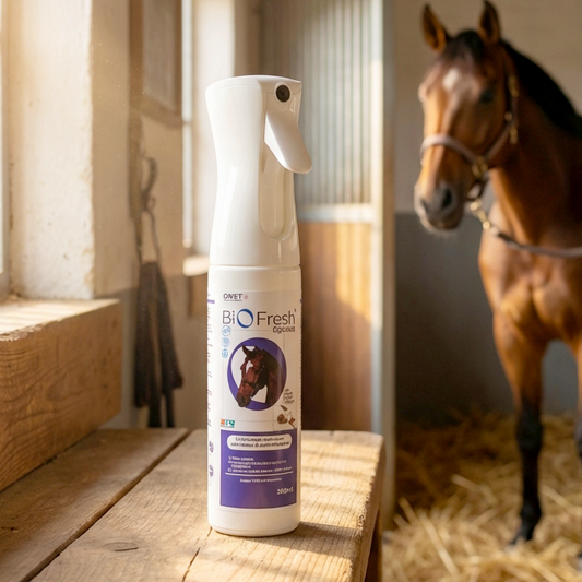 Biofresh Equine traitement d'air anti-virus et anti-mouches pour box & van