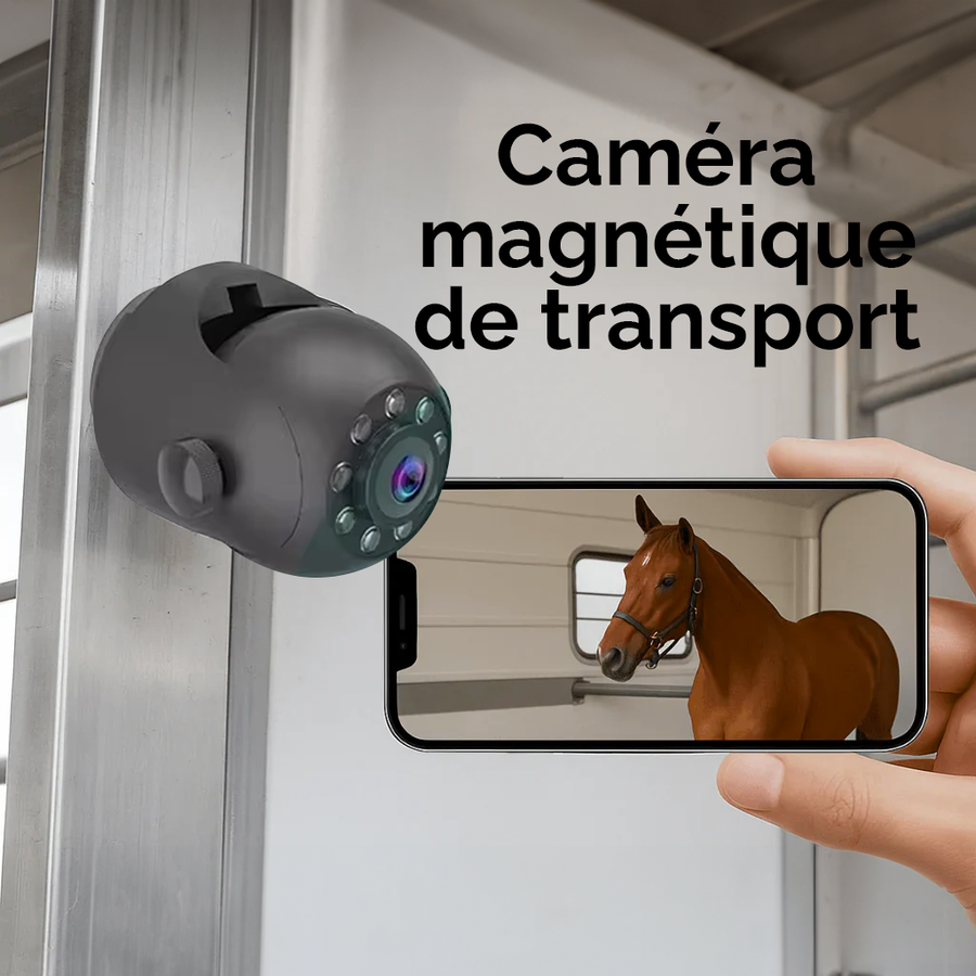 EquiCheck Transport la caméra de surveillance en temps réel pour chevaux dans le van