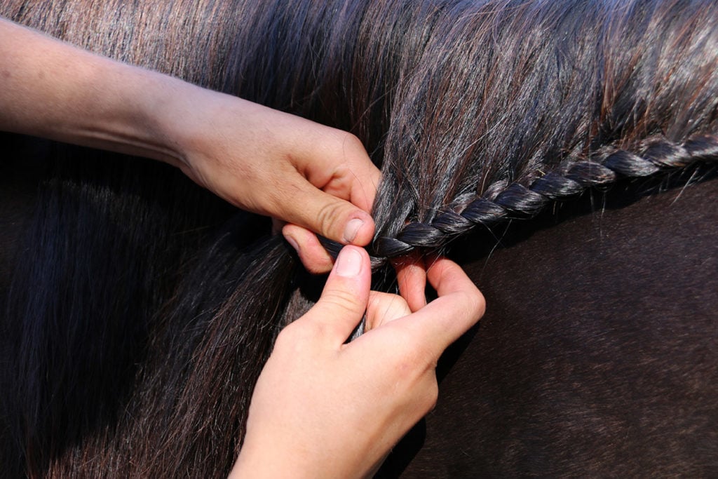 Démêlant crin cheval d'équitation Ekin (Effet brillant instantané sur crinière et queue)