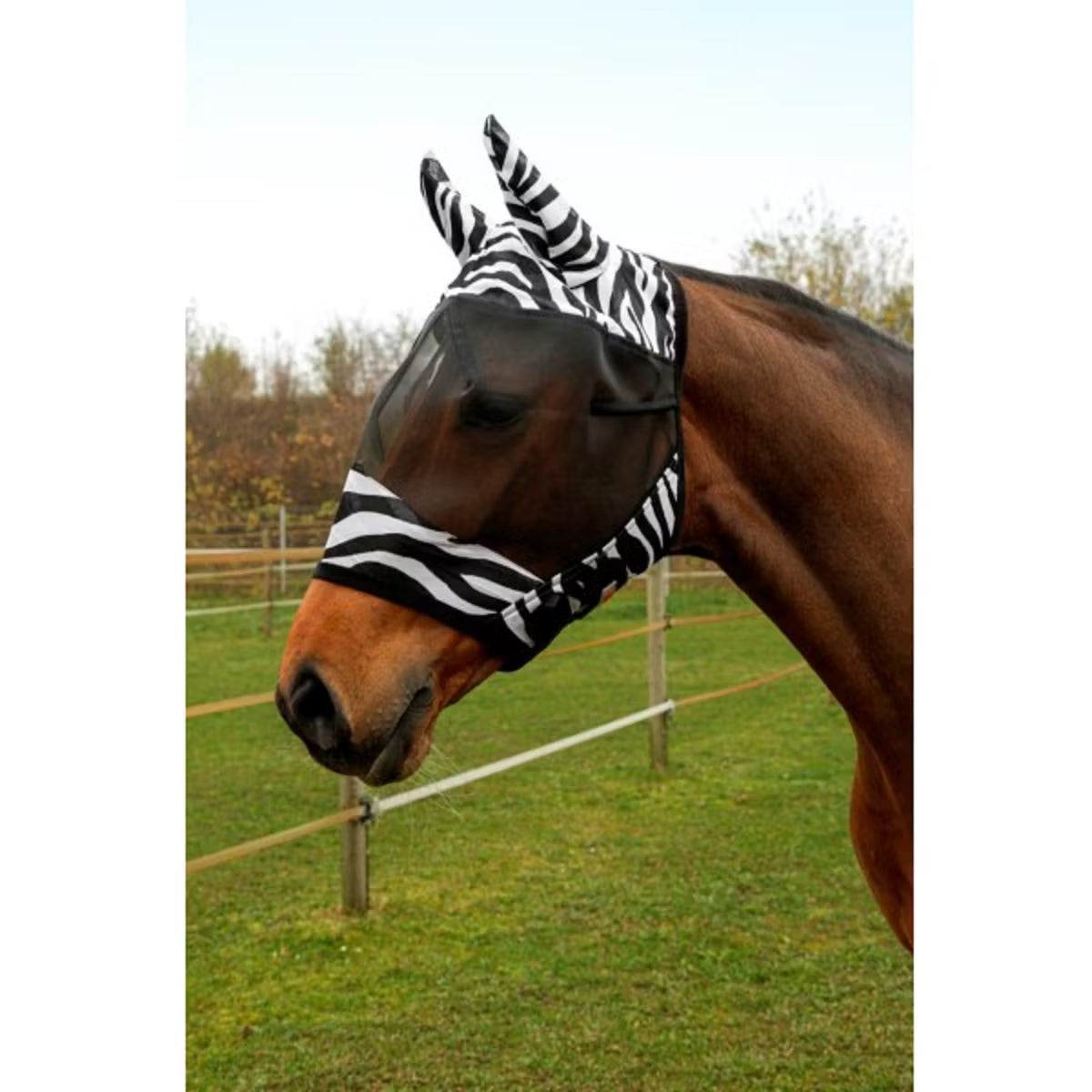 Masque Zebre Taille Cob