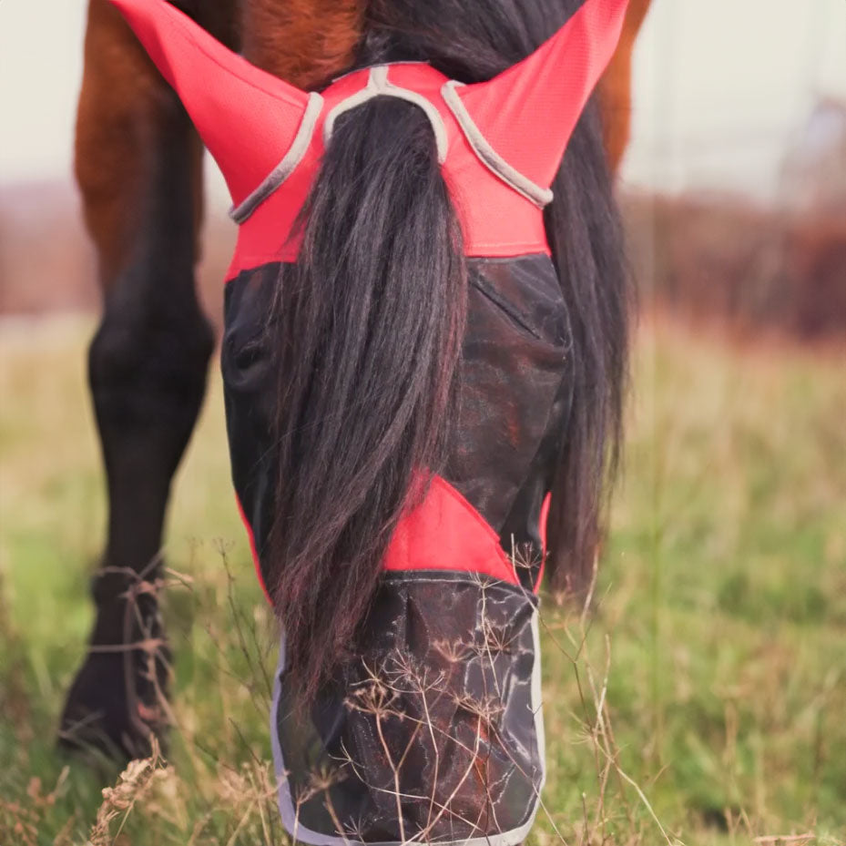 Masque anti-mouche pour cheval d'équitation protection anti-brûlure de soleil