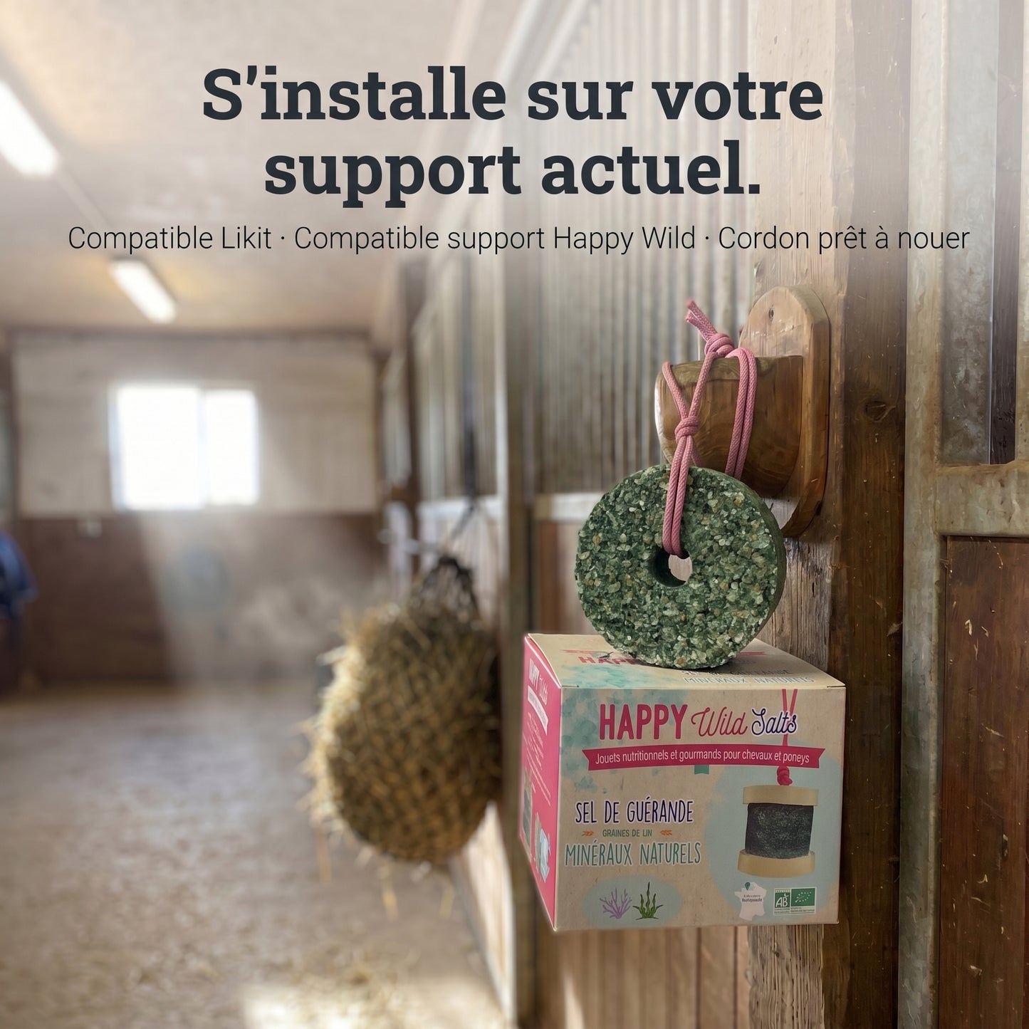 Happy Wild Salts : Le jouet bio qui occupe vraiment au box