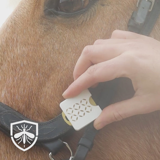 Erstes französisches Insektenschutz-Halfterabzeichen für Pferde und Reiter (duftendes Etikett)