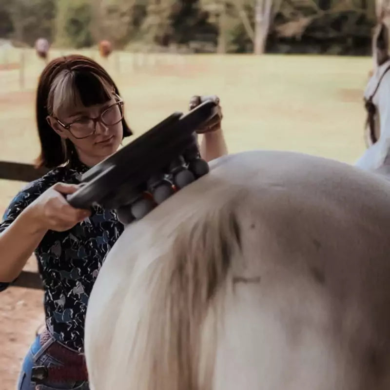 Masseur Equin à 8 têtes anti-contracture pour chevaux