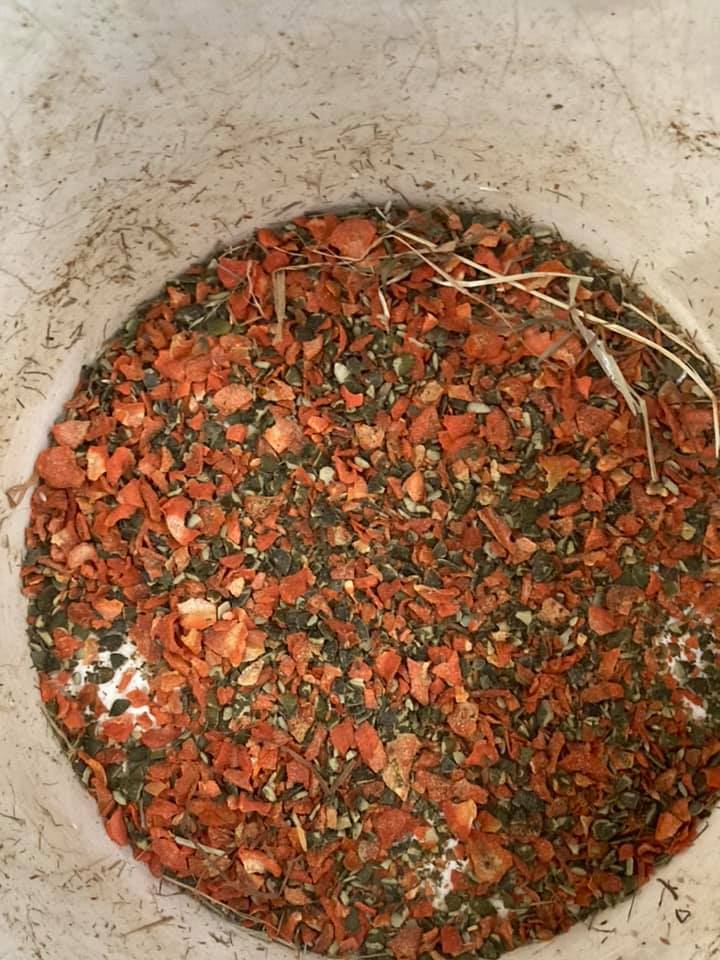 Form’EKIN Compliment alimentaire pour améliorer l’état général des chevaux