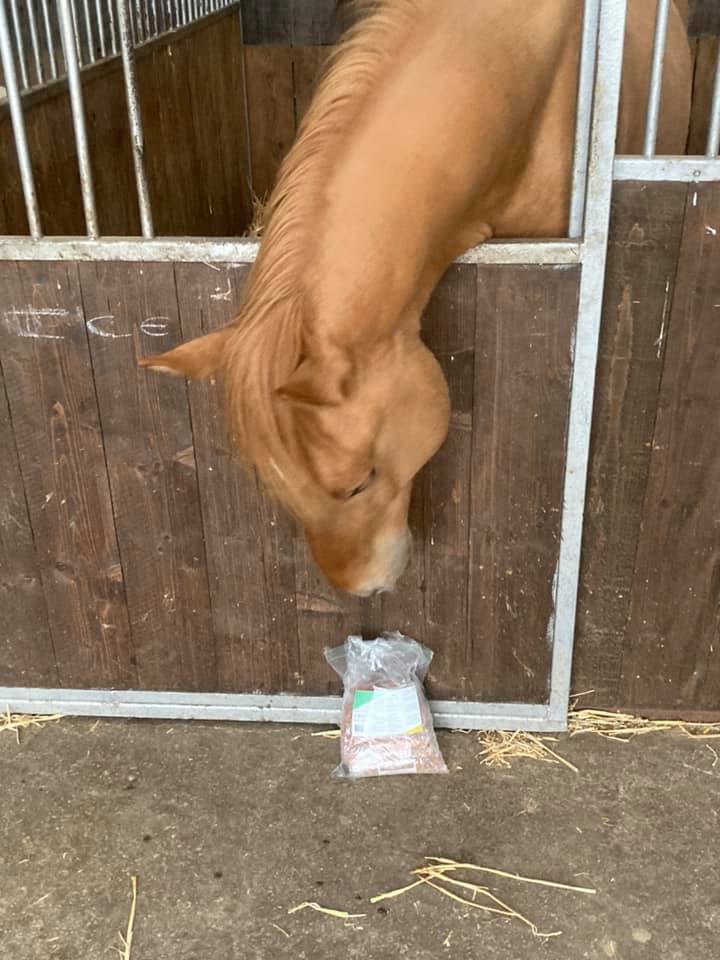 Form’EKIN Compliment alimentaire pour améliorer l’état général des chevaux